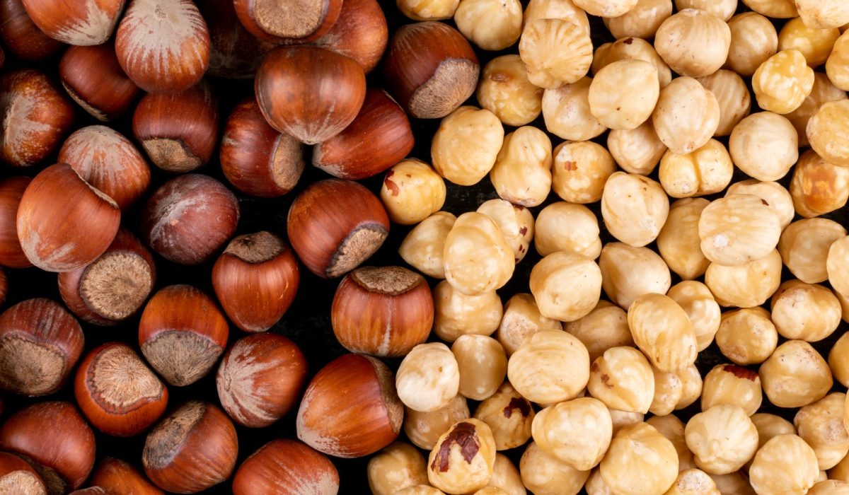 Different hazelnuts shelled and cleaned nuts. close-up.